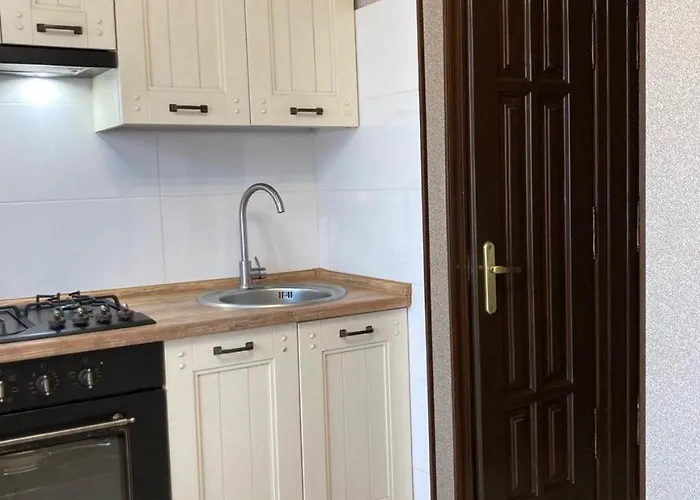 公寓 New With 2 Isolated Bedrooms 利沃夫